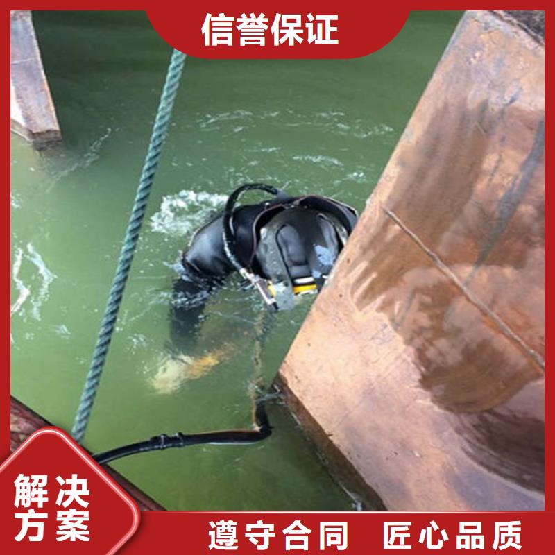 水下 水下照相精英团队