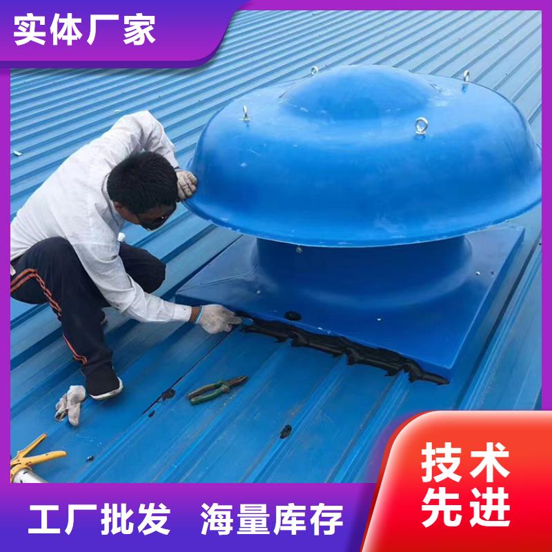 县止回式风帽价格实惠