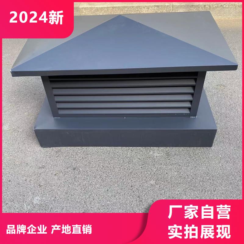 屯昌县D-FM-KT250型风帽品质放心