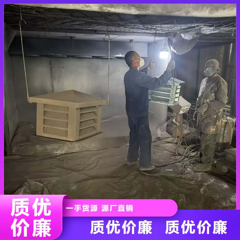 B系列抜气风帽高密封