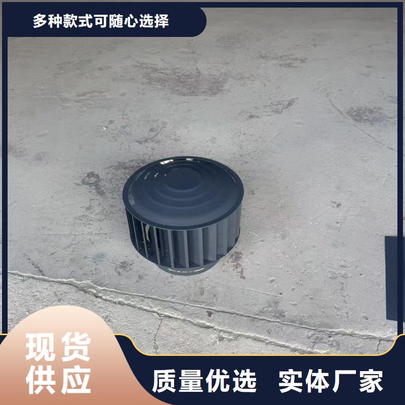 止回式风帽厂家报价