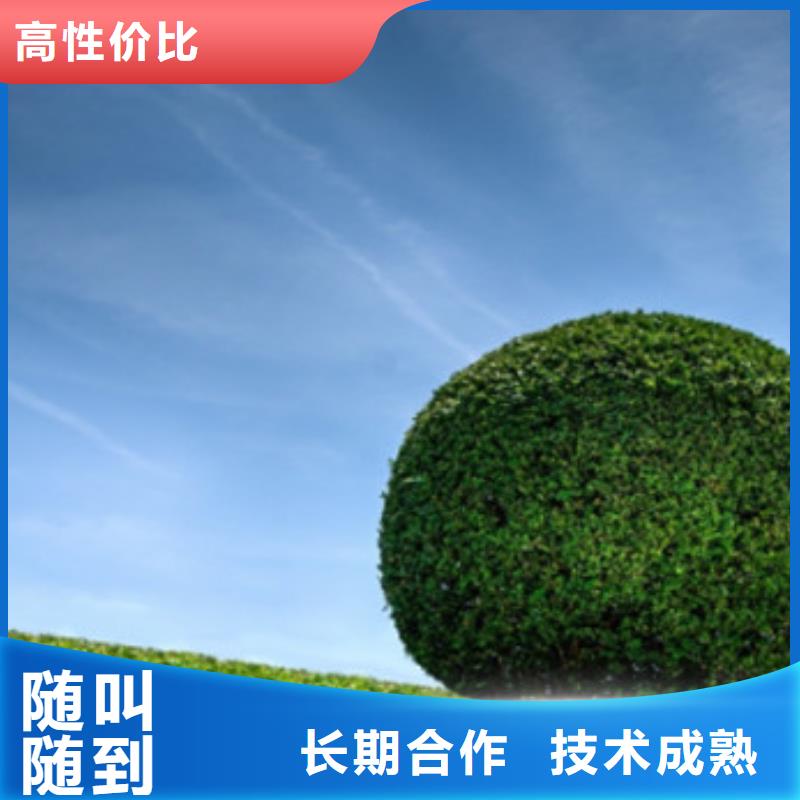 工程预算 【造价确定】2025专业的团队