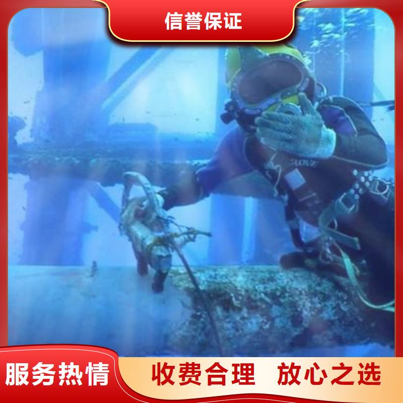 水下探摸摄像施工视频-浙江省宁波市|海曙|镇海|温州|台州|舟山|丽水水下探摸摄像施工-辰逸