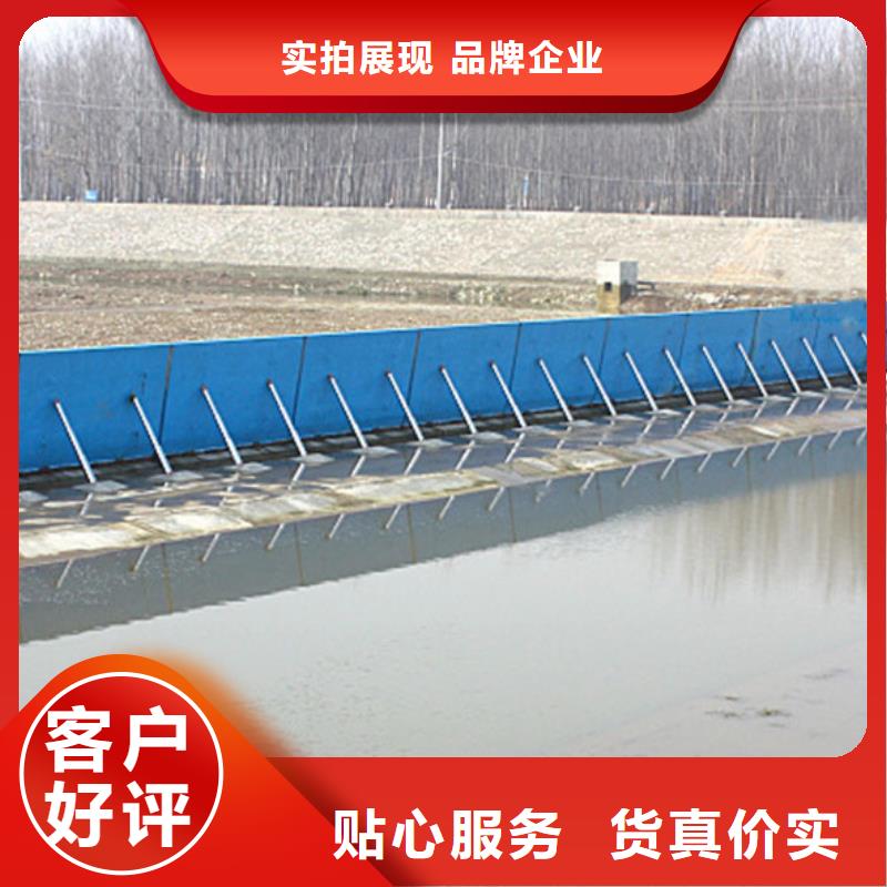  翻板闸门实力公司