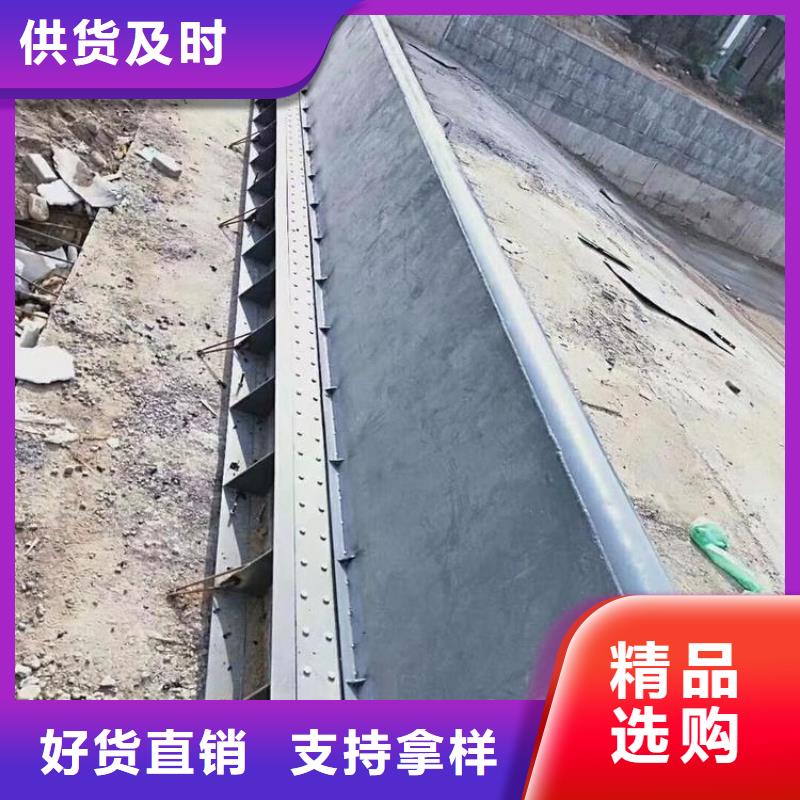  翻板闸门工厂直营