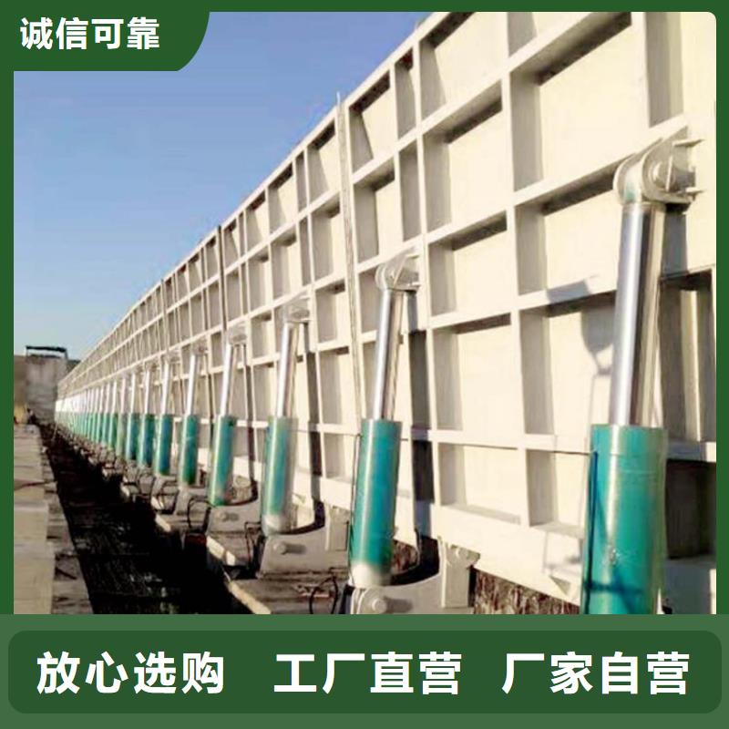 翻板闸门常年供应