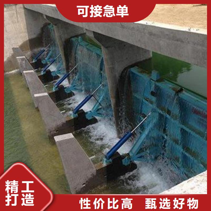  翻板闸门专业生产N年
