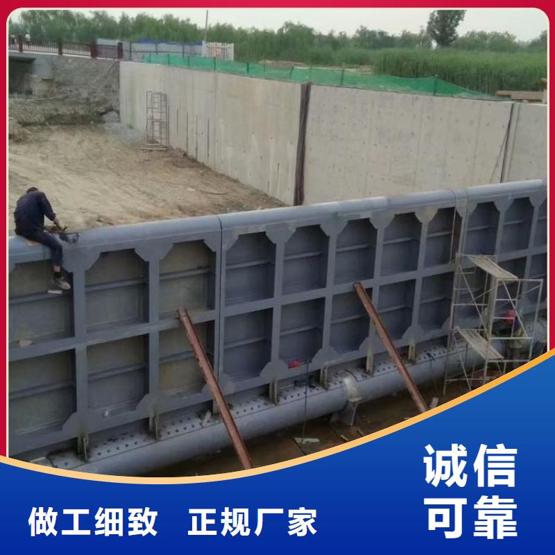  翻板闸门支持定制加工