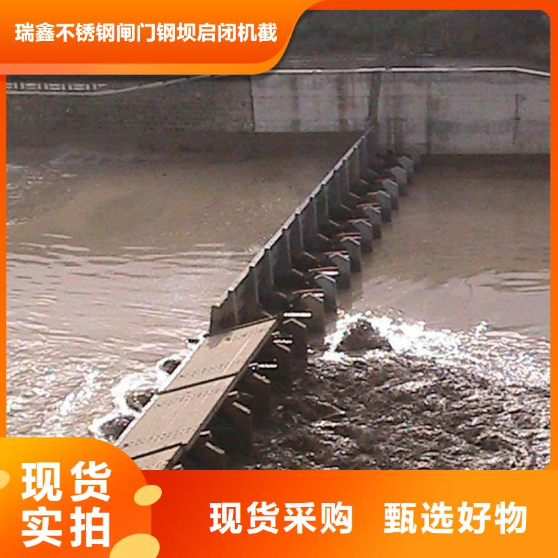 翻板闸门 复合拍门优良工艺