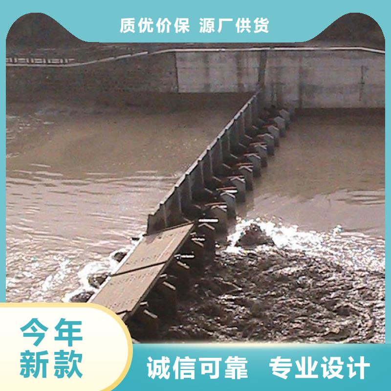  翻板闸门种类丰富