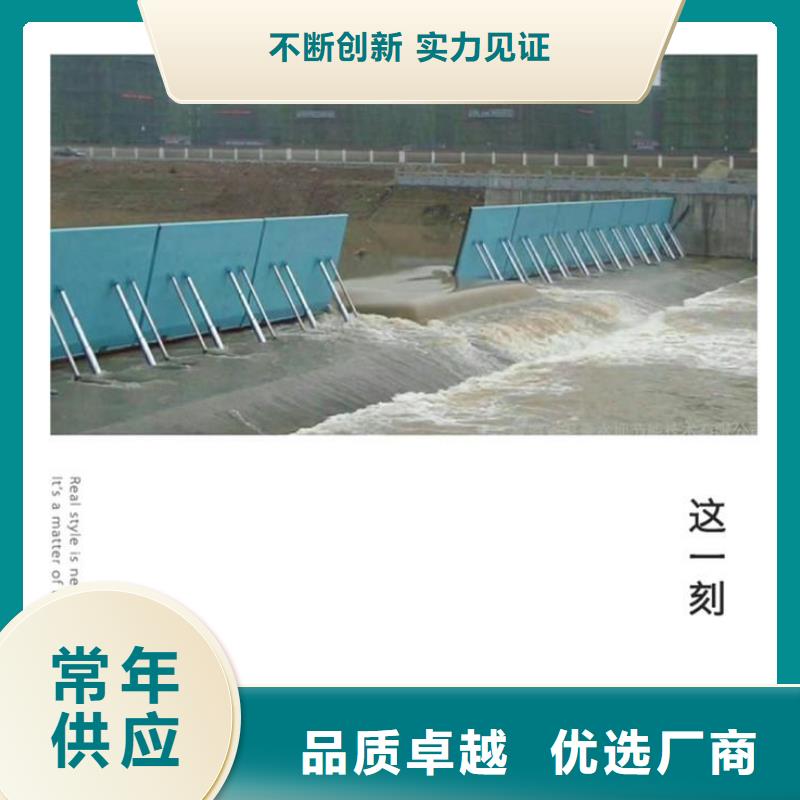 翻板闸门用心做好每一件产品