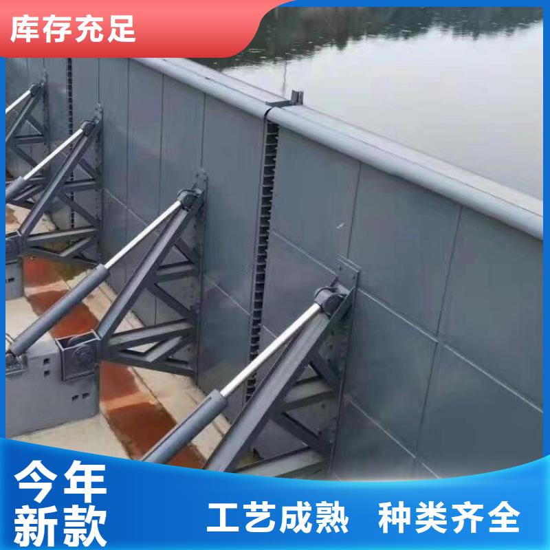  翻板闸门品种全