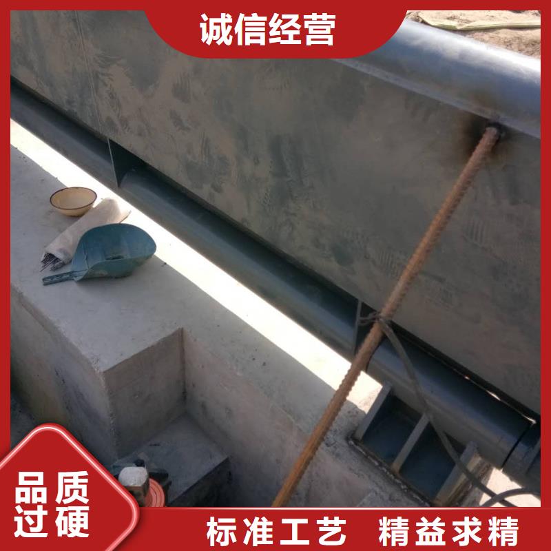 翻板闸门实体诚信厂家