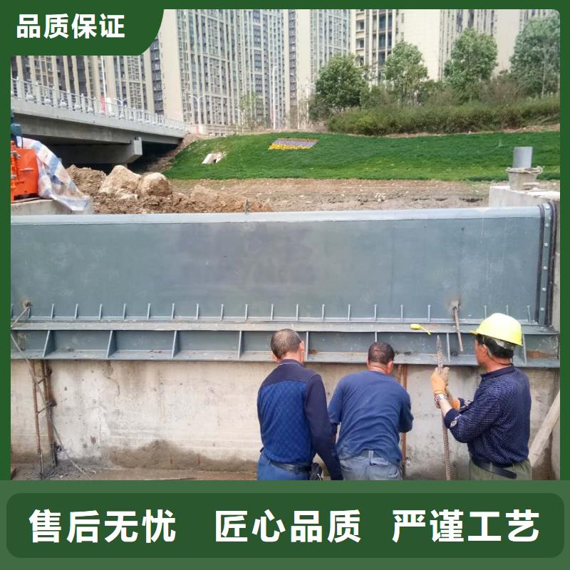  翻板闸门产地采购