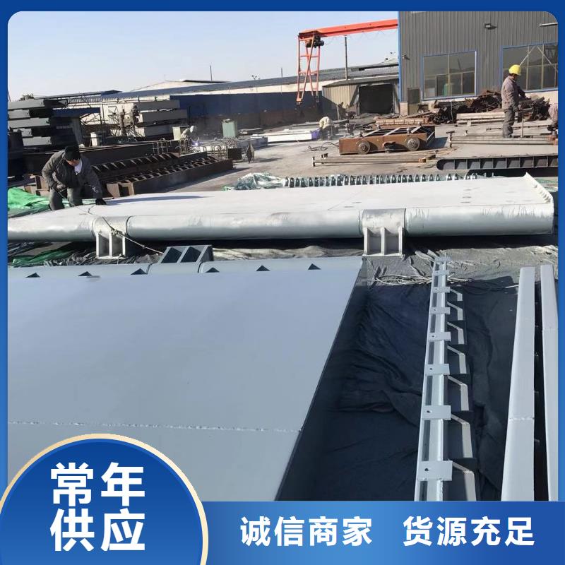 翻板闸门 截流井闸门随心所欲定制