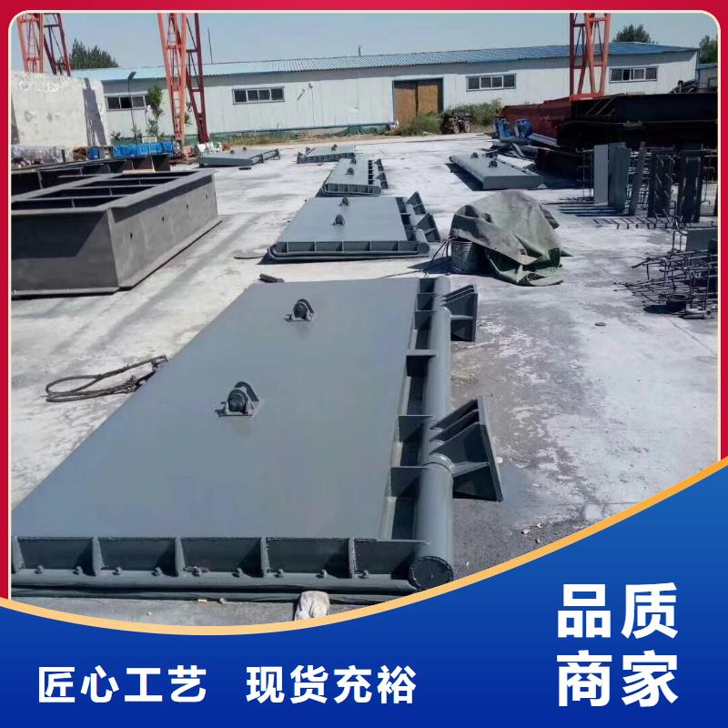 翻板闸门闸门启闭机实力公司