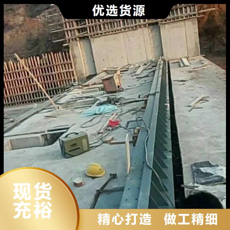  翻板闸门支持定制加工