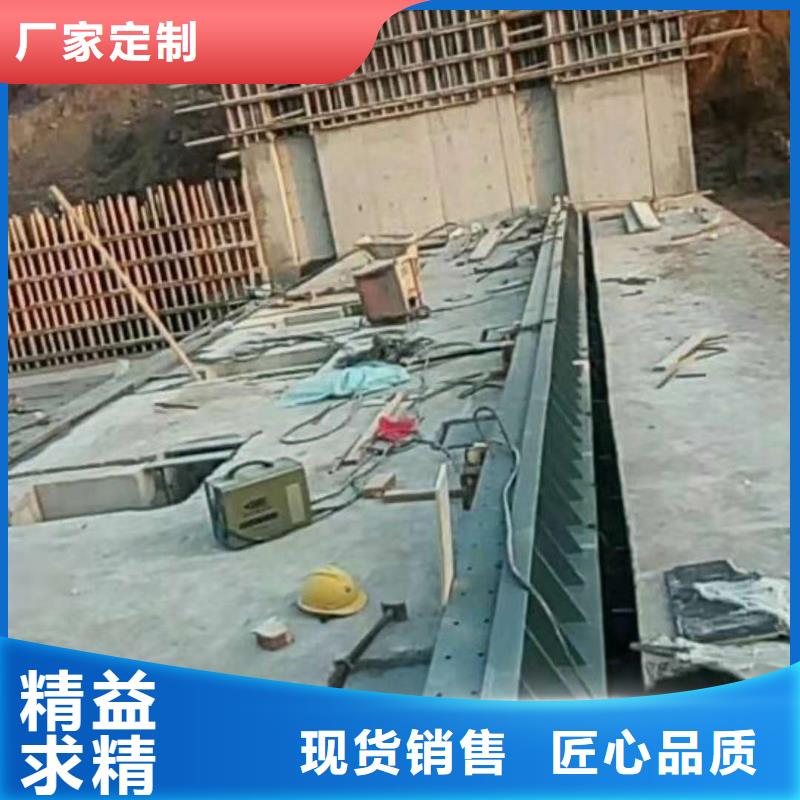  翻板闸门大厂家实力看得见