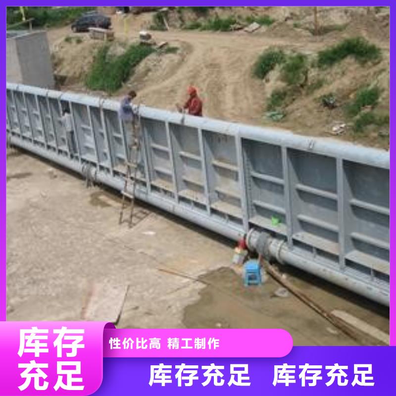  翻板闸门支持加工定制