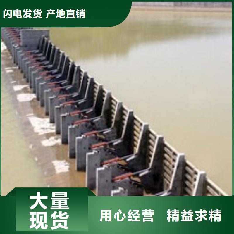  翻板闸门诚信商家服务热情
