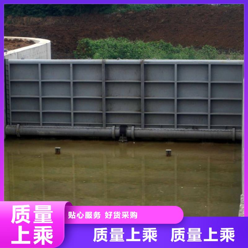  翻板闸门正规厂家