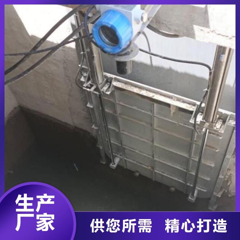  截流井闸门经销商