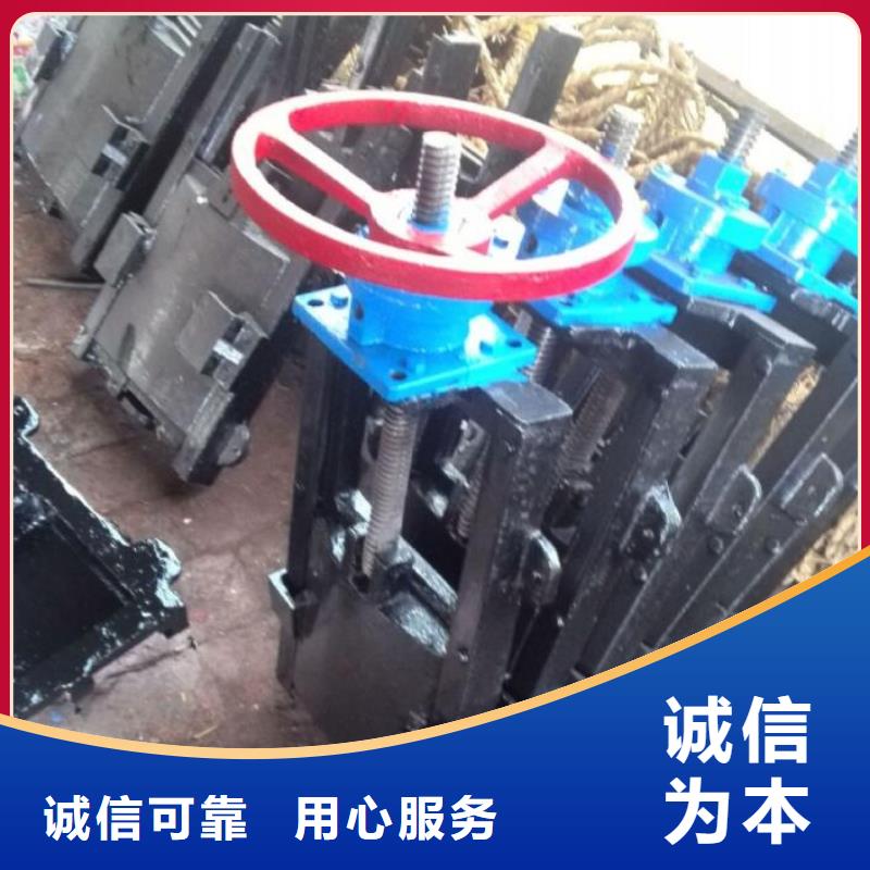  截流井闸门厂家案例