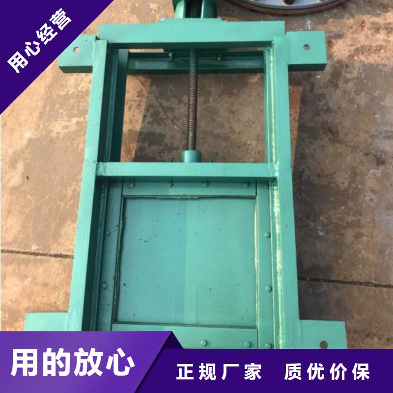 截流井闸门大厂生产品质