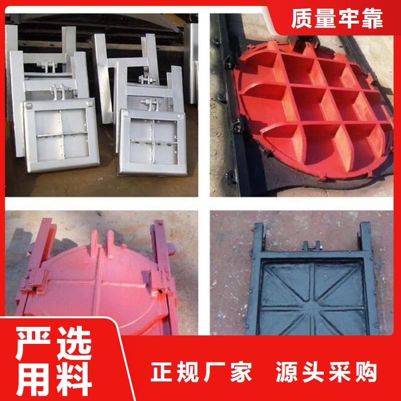  截流井闸门专注品质