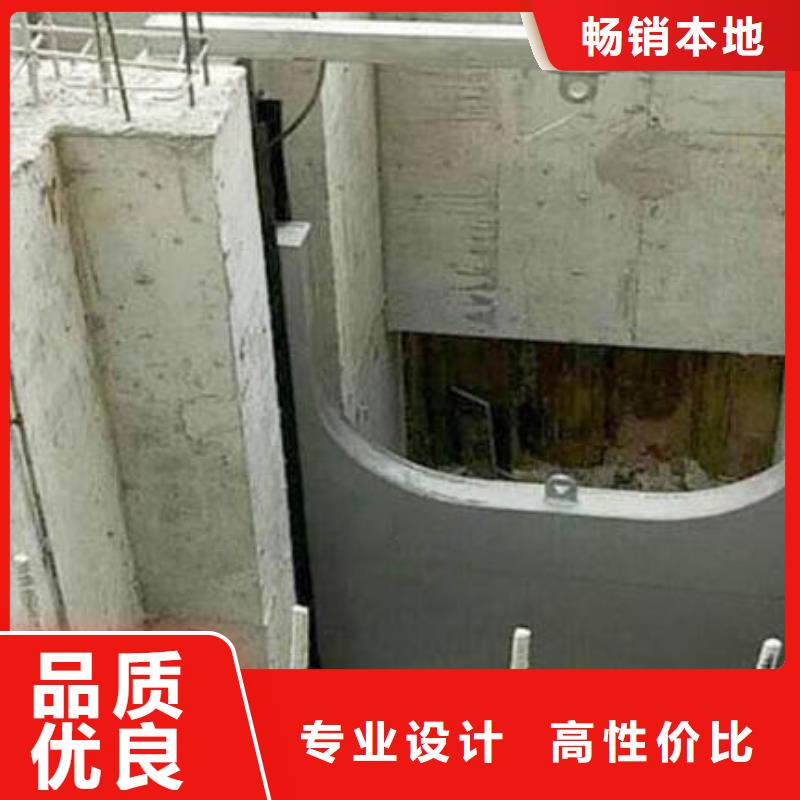 截流井闸门合页钢坝品牌大厂家
