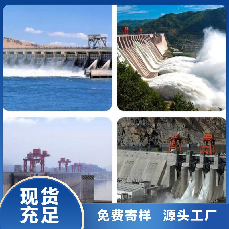 截流井闸门合页钢坝品牌大厂家