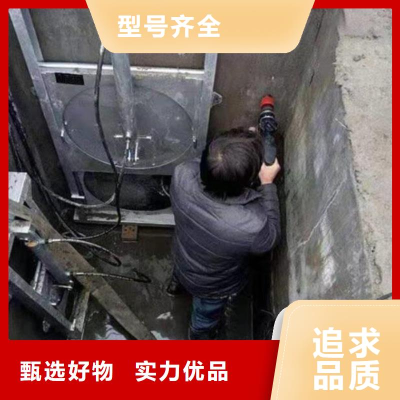  截流井闸门精品优选