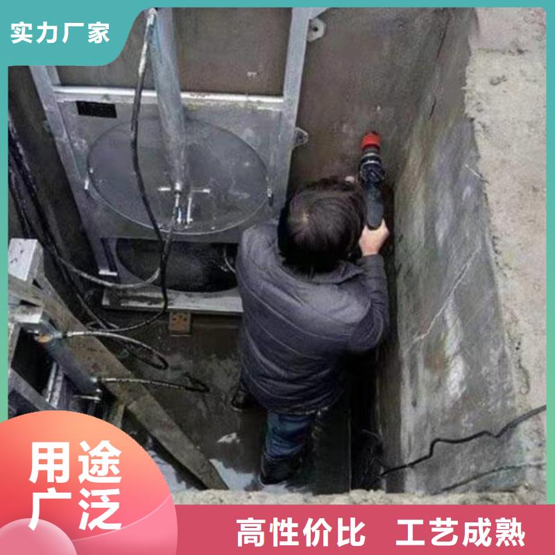 截流井闸门电动启闭机按需定做