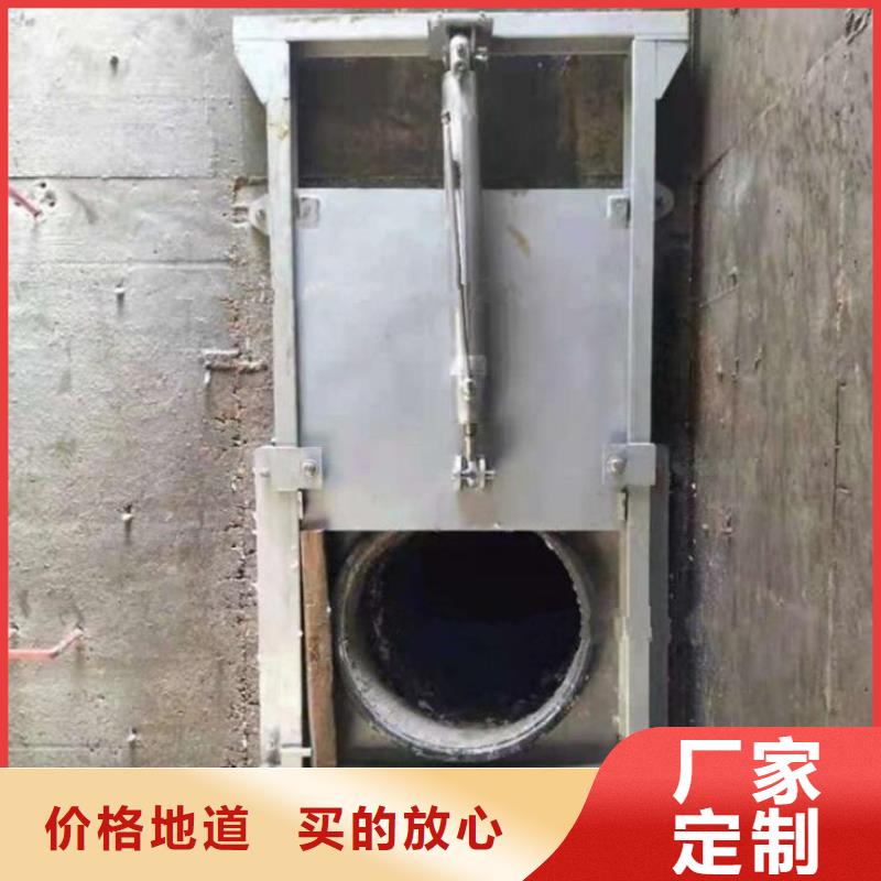 截流井闸门合页钢坝品牌大厂家