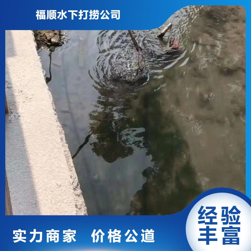 广安武胜县水库打捞貔貅有求必应