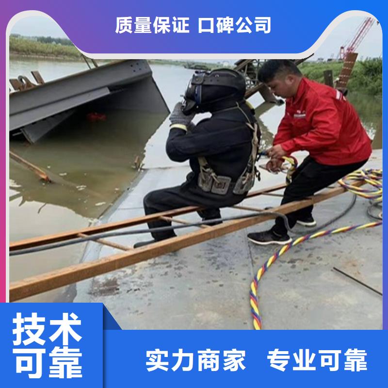 采购水鬼作业队伍_认准苏龙水下工程有限公司_值得信赖