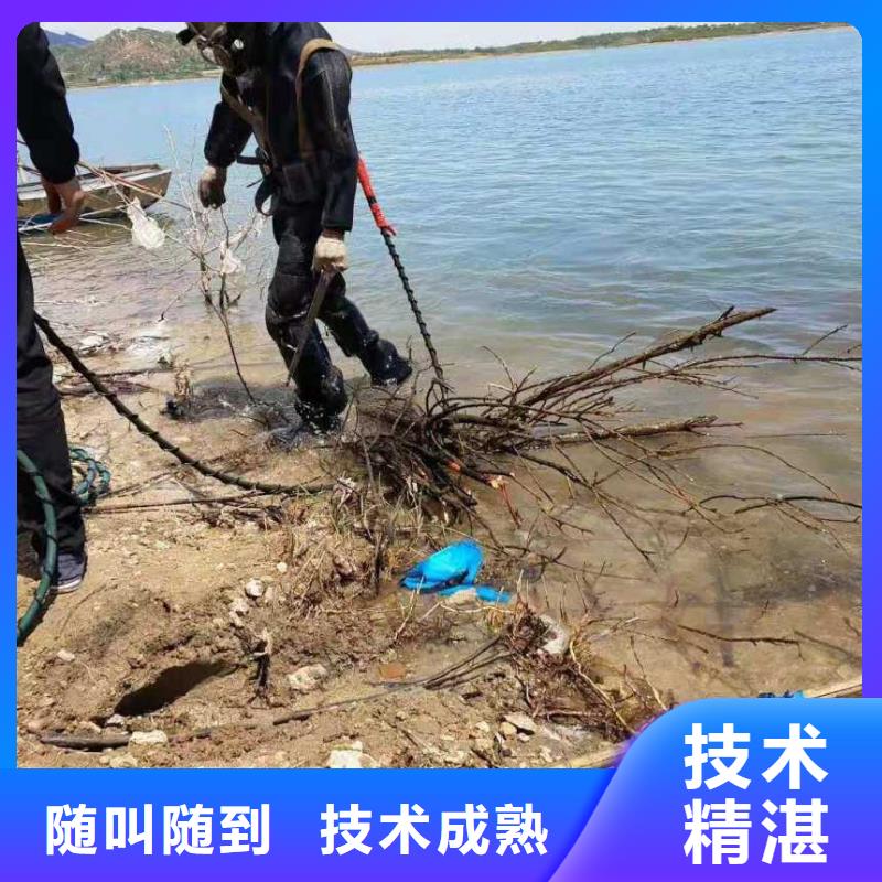 蛙人作业队伍新报价