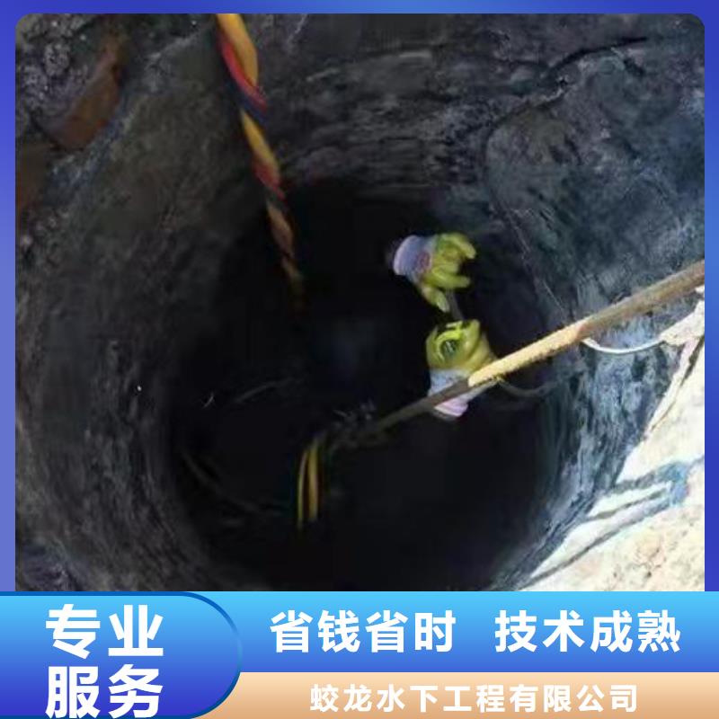 了解潜水员作业队伍-按需求定制
