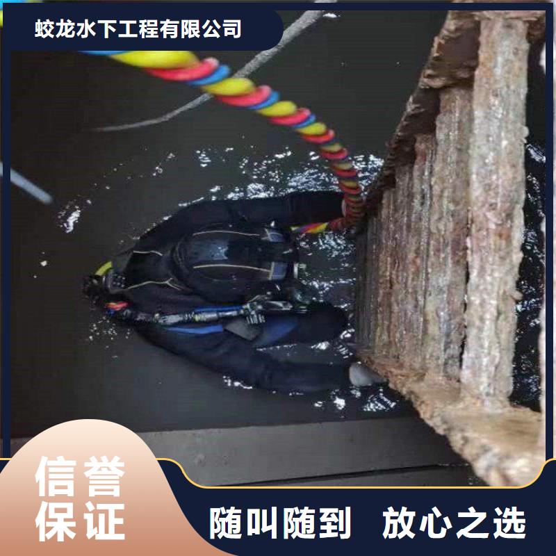 蛙人服务公司十余年厂家
