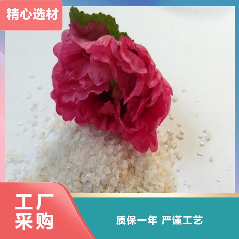 石英砂【pam阳离子】实时报价