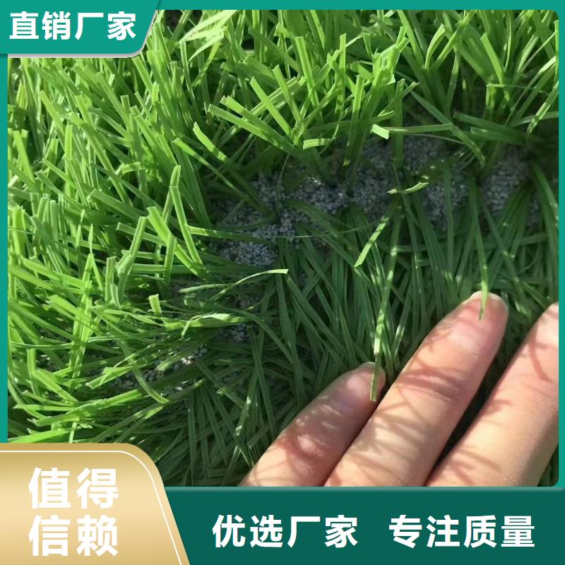 石英砂_无烟煤滤料实力公司