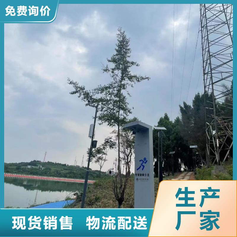智慧AI虚拟马拉松跑道厂家技术完善
