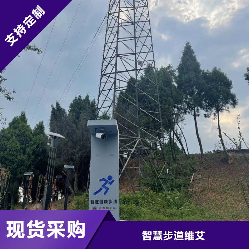 景区智能标识导视系统视频-临泽|民乐|陇南|武威|嘉峪关|定西景区智能标识导视系统专注品质-智慧步道维艾(张掖市分公司)
