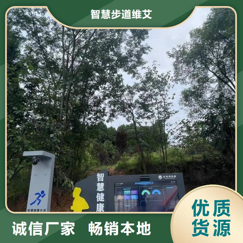 智慧ai虚拟骑行单车优良工艺
