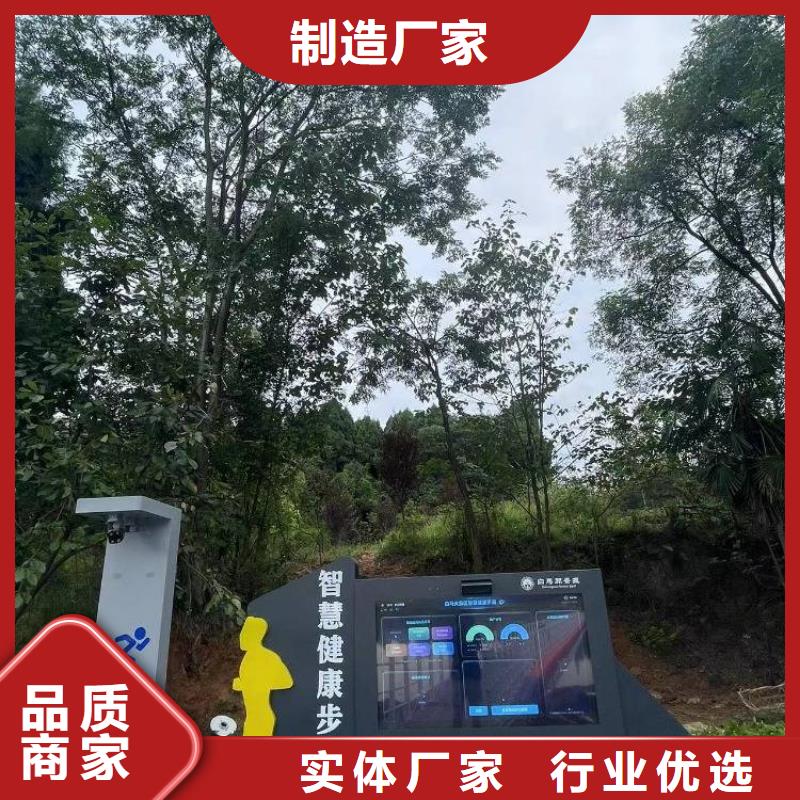 智慧-【AI虚拟马拉松跑道】源头厂家直销