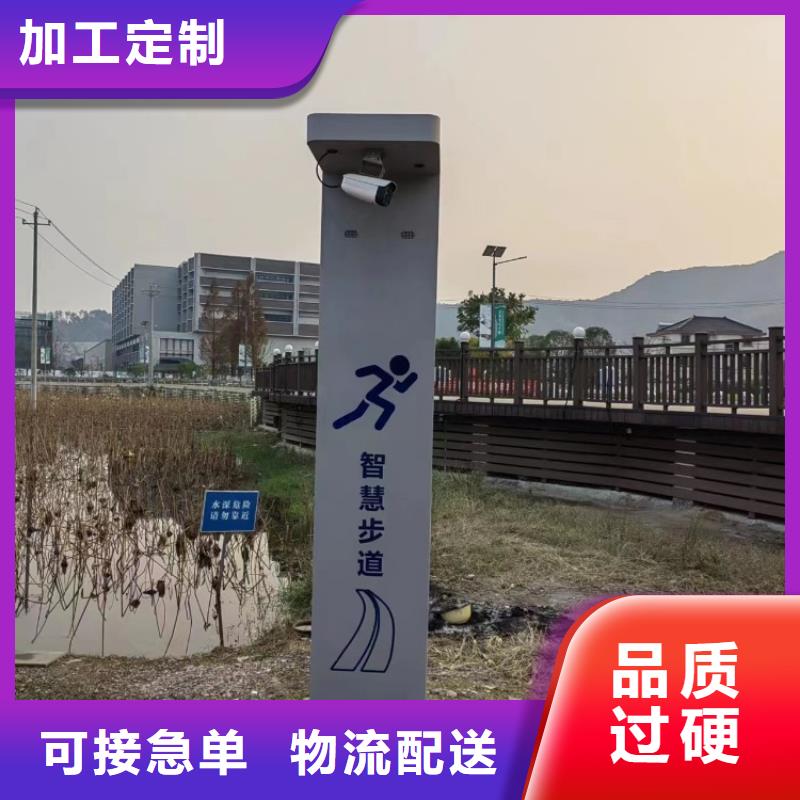智慧ai虚拟骑行单车优良工艺