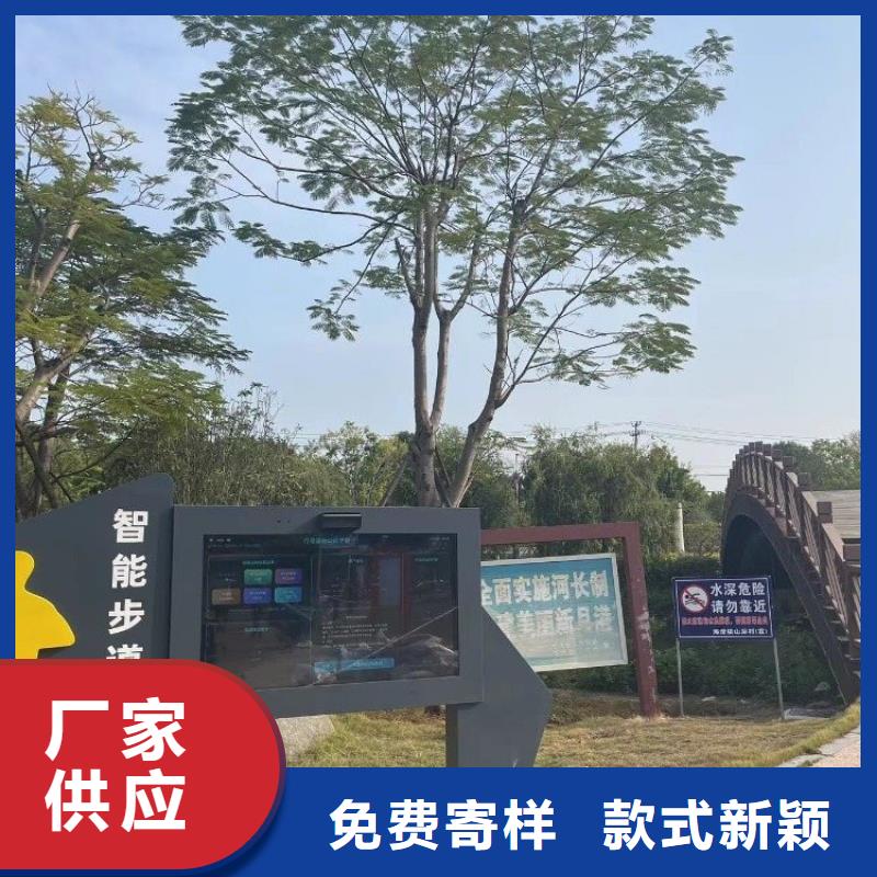 智慧光影陪跑墙实拍品质保障