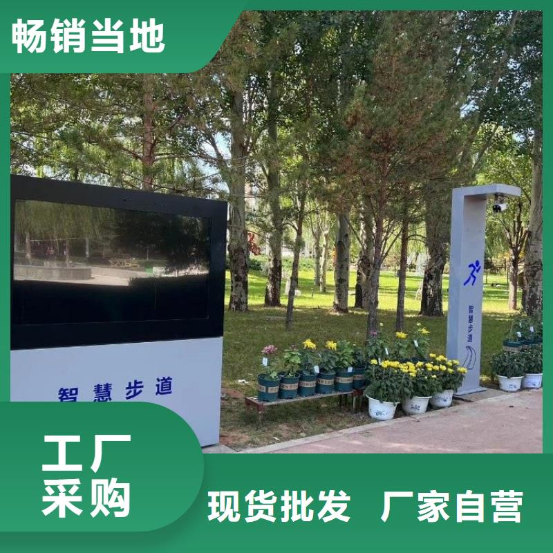 智慧-【AI虚拟马拉松跑道】源头厂家直销