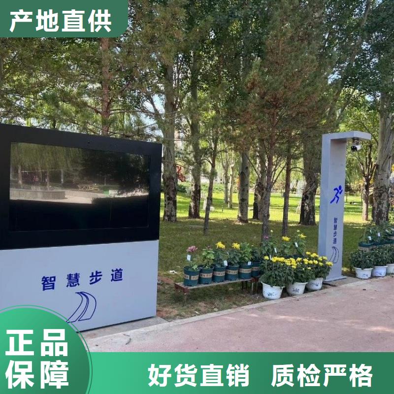 智慧ai虚拟骑行单车价格实惠工厂直供