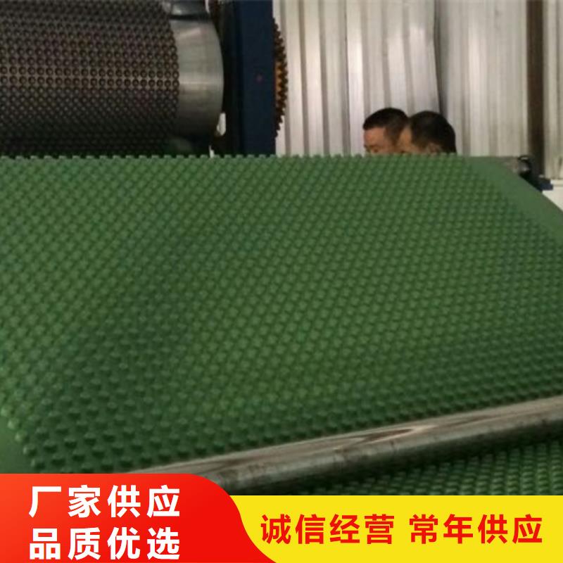 排水板水泥化粪池批发供应